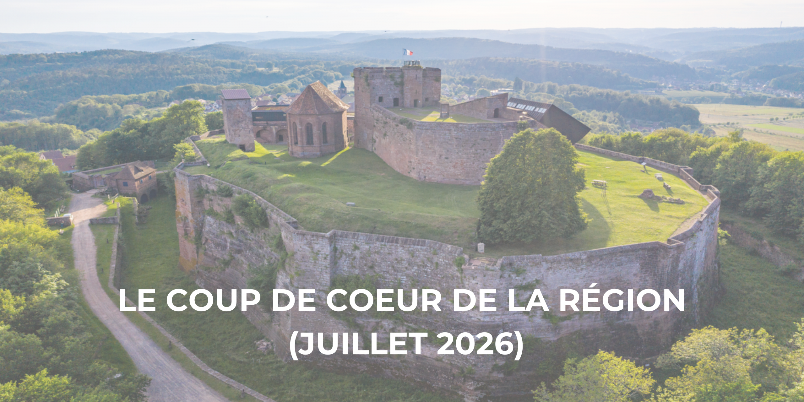 COUP DE COEUR